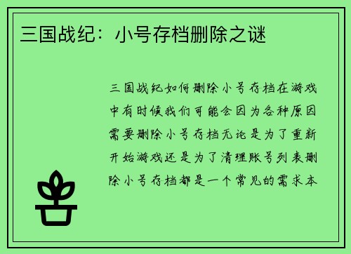 三国战纪：小号存档删除之谜