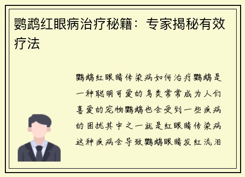 鹦鹉红眼病治疗秘籍：专家揭秘有效疗法